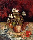Geranium in a Flowerpot